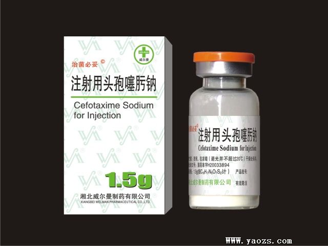 凯帝龙（注射用头孢噻肟钠） 图 2