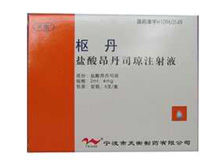 枢丹（盐酸昂丹司琼注射液）