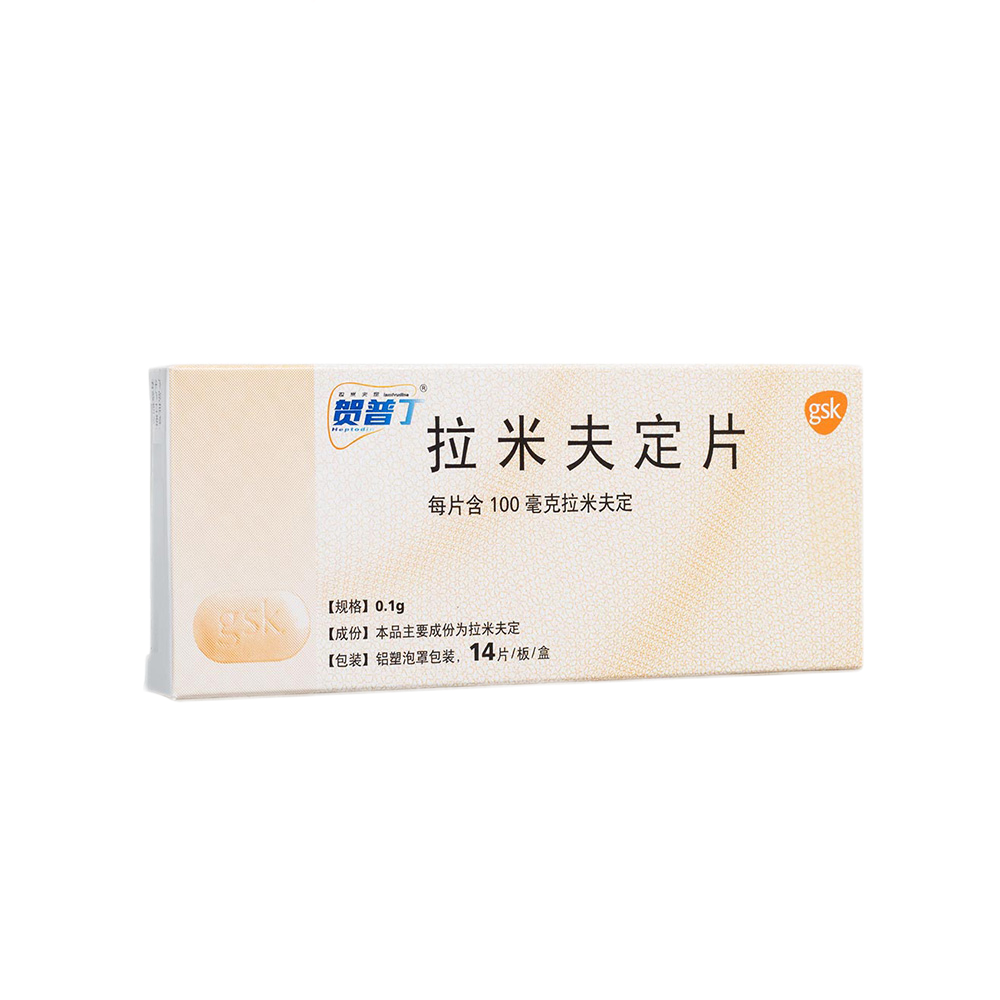 贺普丁(拉米夫定片)