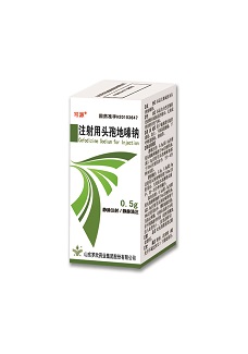 NEWDIZIME（注射用头孢地嗪钠） 图 2